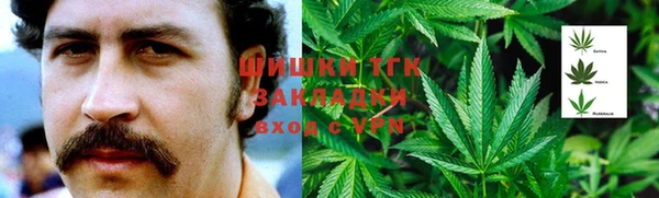 ECSTASY Вяземский